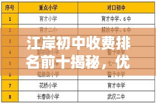 江岸初中收费排名前十揭秘，优质教育资源背后的秘密探究