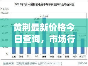 黄荆最新价格今日查询，市场行情一网打尽！