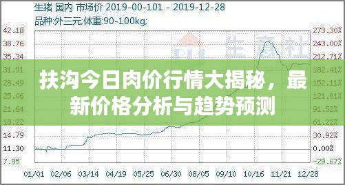 扶沟今日肉价行情大揭秘，最新价格分析与趋势预测