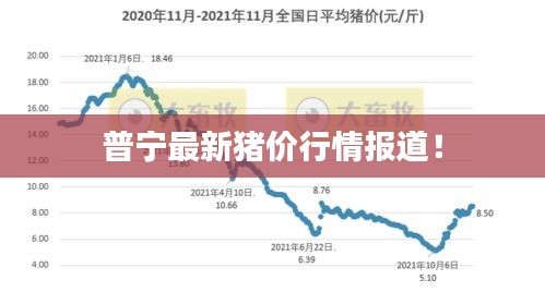 普宁最新猪价行情报道！