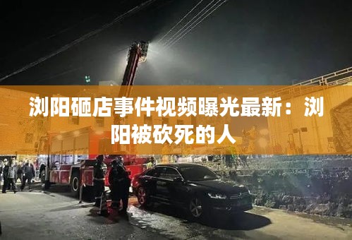 浏阳砸店事件视频曝光最新：浏阳被砍死的人 