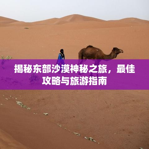 揭秘东部沙漠神秘之旅，最佳攻略与旅游指南