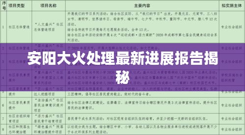 安阳大火处理最新进展报告揭秘