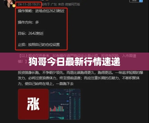 狗哥今日最新行情速递