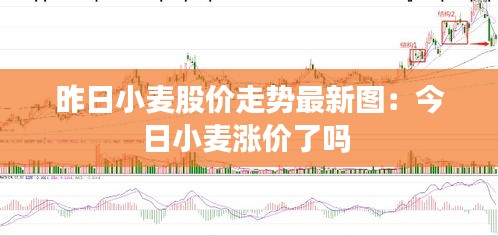 2025年1月25日 第12页