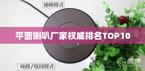 平面喇叭厂家权威排名TOP10