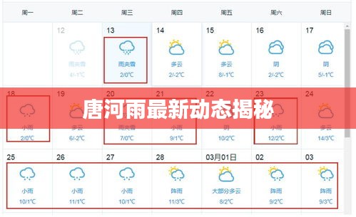 唐河雨最新动态揭秘