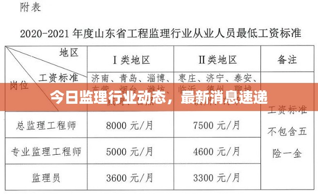 今日监理行业动态，最新消息速递