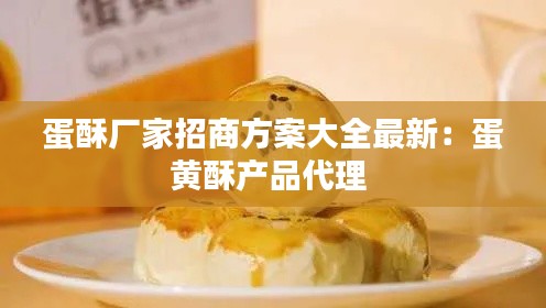 蛋酥厂家招商方案大全最新：蛋黄酥产品代理 