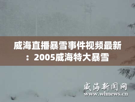 威海直播暴雪事件视频最新：2005威海特大暴雪 