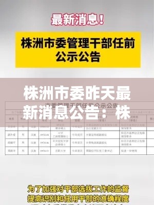 株洲市委昨天最新消息公告：株洲市委网 