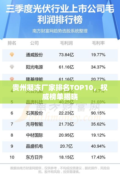 贵州凝冻厂家排名TOP10，权威榜单揭晓