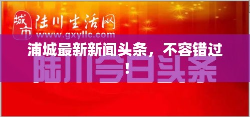 浦城最新新闻头条，不容错过！