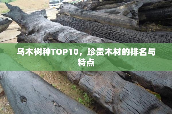 乌木树种TOP10，珍贵木材的排名与特点