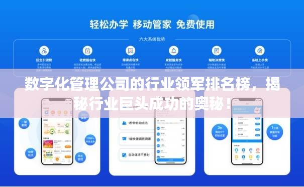 数字化管理公司的行业领军排名榜，揭秘行业巨头成功的奥秘！
