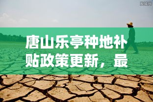 唐山乐亭种地补贴政策更新，最新动态抢鲜看