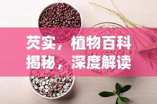 芡实，植物百科揭秘，深度解读芡实的奥秘