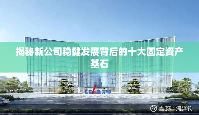 揭秘新公司稳健发展背后的十大固定资产基石