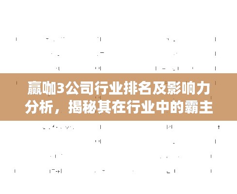 赢咖3公司行业排名及影响力分析，揭秘其在行业中的霸主地位