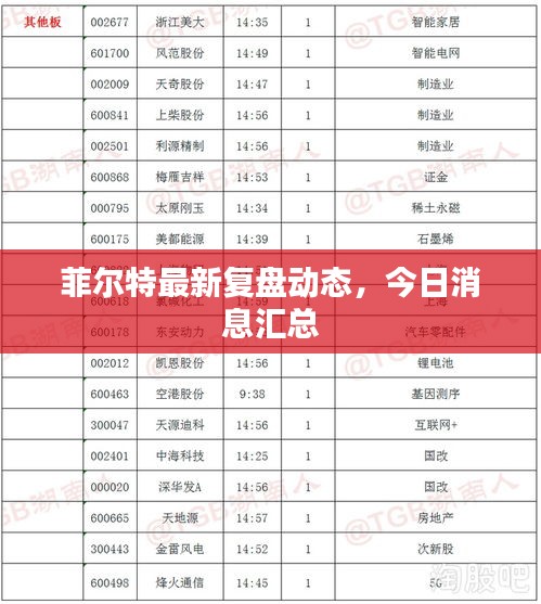 菲尔特最新复盘动态，今日消息汇总