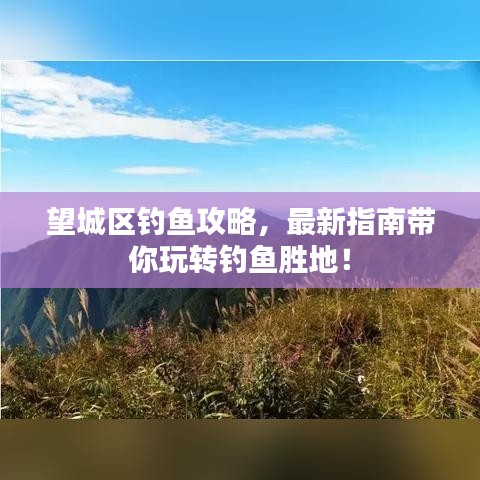 望城区钓鱼攻略，最新指南带你玩转钓鱼胜地！