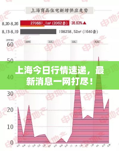 上海今日行情速递，最新消息一网打尽！