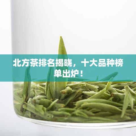 北方茶排名揭晓，十大品种榜单出炉！