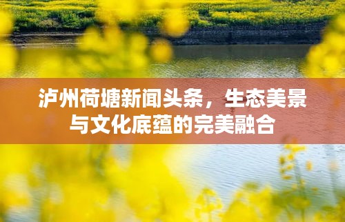 泸州荷塘新闻头条，生态美景与文化底蕴的完美融合