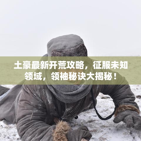 土豪最新开荒攻略，征服未知领域，领袖秘诀大揭秘！