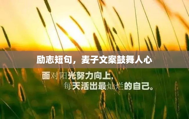 励志短句，麦子文案鼓舞人心