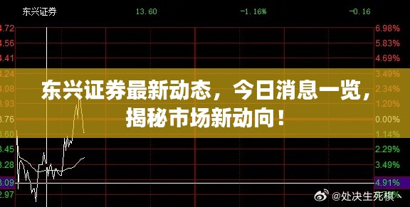 东兴证券最新动态，今日消息一览，揭秘市场新动向！