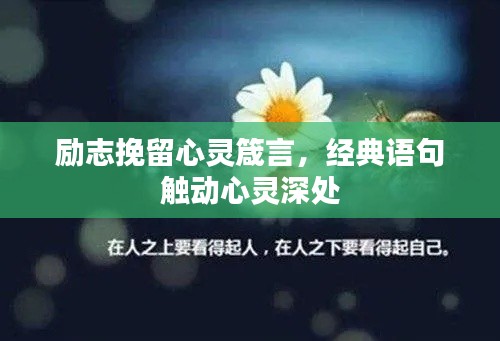 励志挽留心灵箴言，经典语句触动心灵深处