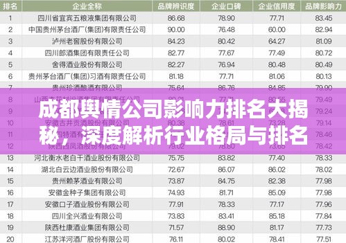 成都舆情公司影响力排名大揭秘，深度解析行业格局与排名