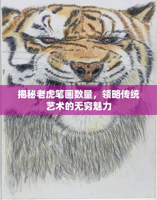 揭秘老虎笔画数量，领略传统艺术的无穷魅力