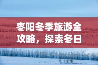 2025年1月29日 第2页