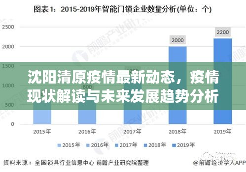 沈阳清原疫情最新动态，疫情现状解读与未来发展趋势分析