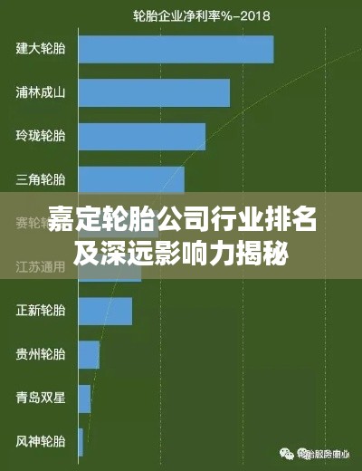 嘉定轮胎公司行业排名及深远影响力揭秘