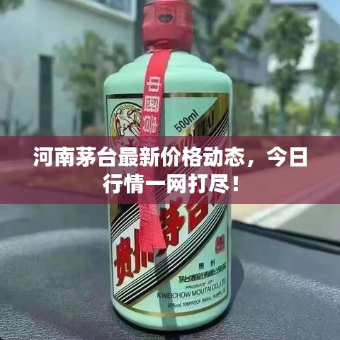 河南茅台最新价格动态，今日行情一网打尽！