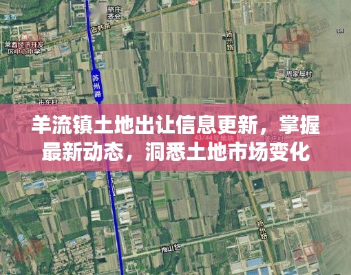 羊流镇土地出让信息更新，掌握最新动态，洞悉土地市场变化