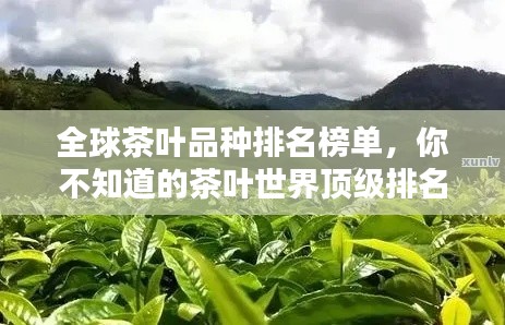 全球茶叶品种排名榜单，你不知道的茶叶世界顶级排名！