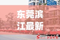 东莞滨江最新动态，城市发展与民生热点同步前行