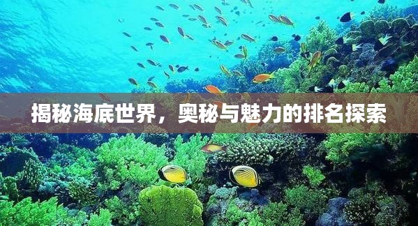 揭秘海底世界，奥秘与魅力的排名探索