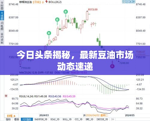 今日头条揭秘，最新豆油市场动态速递