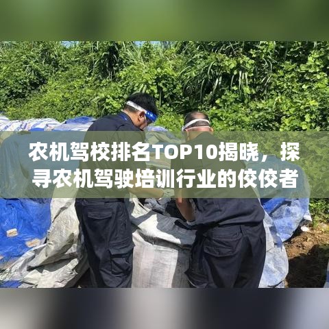 农机驾校排名TOP10揭晓，探寻农机驾驶培训行业的佼佼者