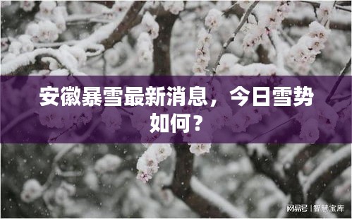 安徽暴雪最新消息，今日雪势如何？