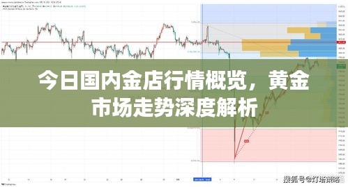 今日国内金店行情概览，黄金市场走势深度解析