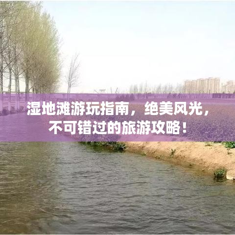 湿地滩游玩指南，绝美风光，不可错过的旅游攻略！