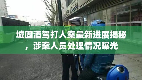 城固酒驾打人案最新进展揭秘，涉案人员处理情况曝光