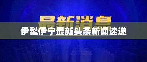 伊犁伊宁最新头条新闻速递