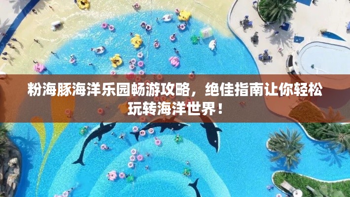 粉海豚海洋乐园畅游攻略，绝佳指南让你轻松玩转海洋世界！